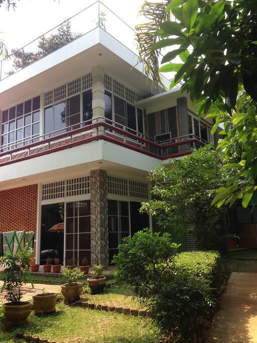 Forest House