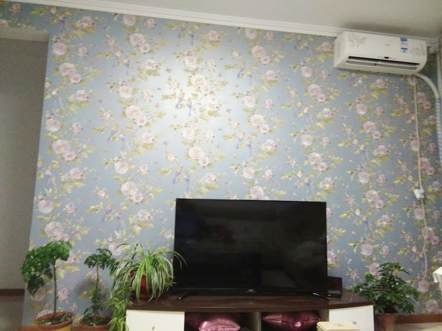 50吋电视