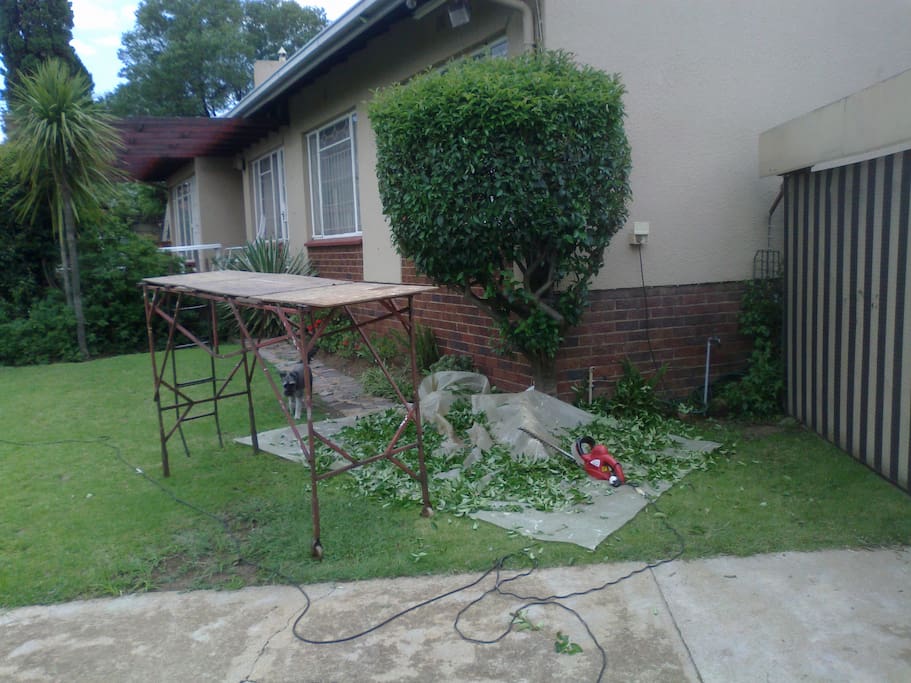 Bushes get trimmed a few times per year