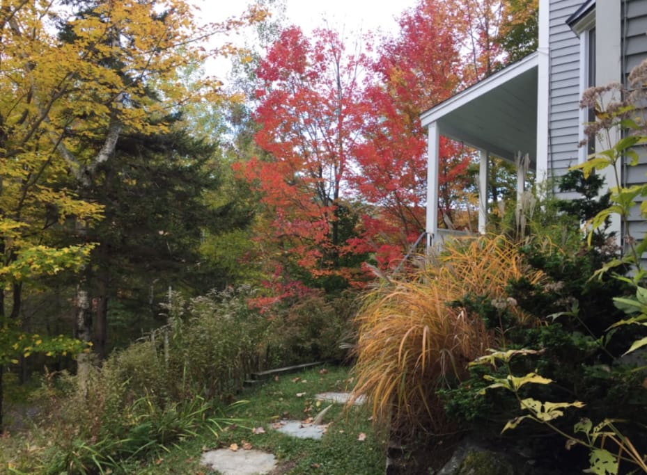 The colors of autumn are just one more reason to visit Taft Brook Rd.