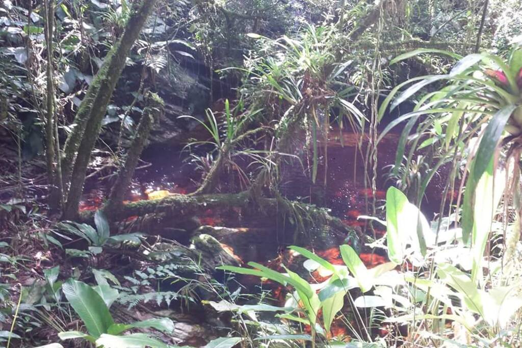 Cachoeira dois irmãos.