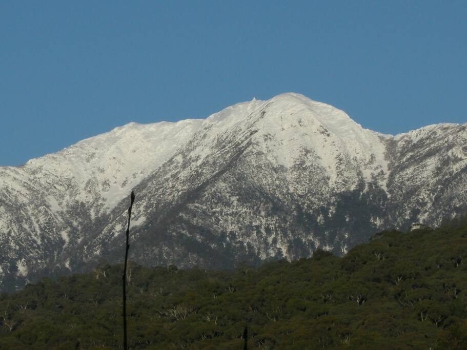 View of Mt Buller from the house