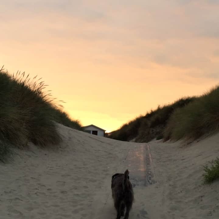 Gezellig Strandhuisje Te Huur. - Zandvoort