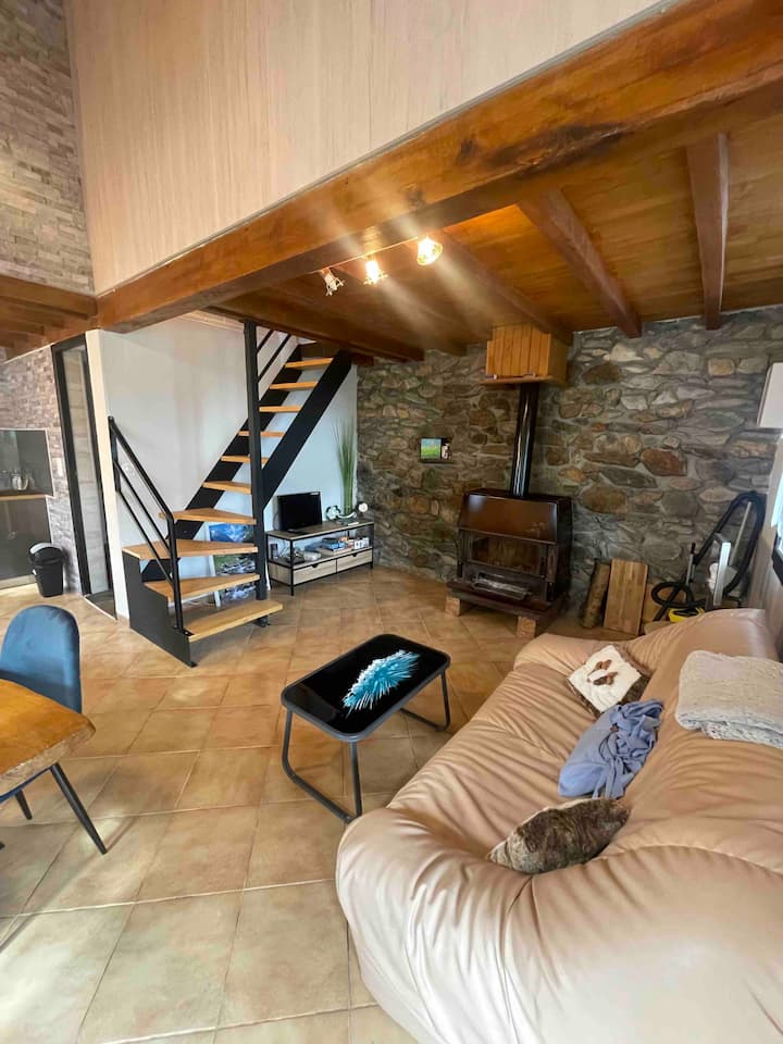 Gîte à La Ferme Chaleureux Avec Poele à Bois - Hautes-Pyrénées