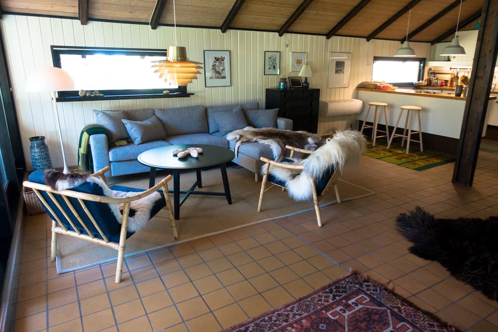 Living room and kitchen