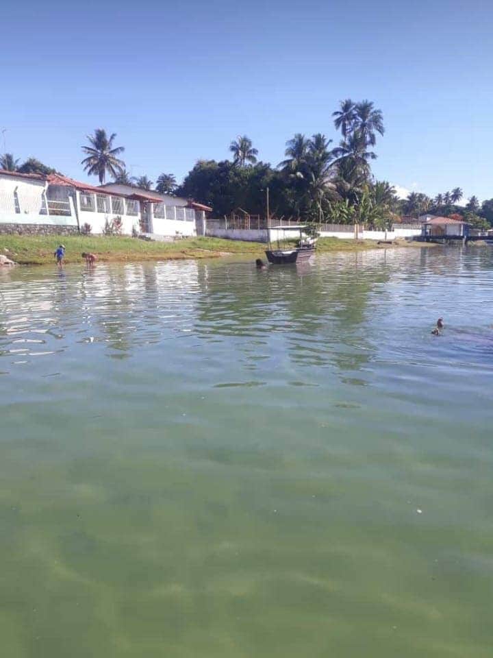 The calm waters of a mangrove region are depicted, with a small boat anchored nearby. Palm trees line the shoreline, and a waterfront house with white walls is visible. Children can be seen playing near the water, enjoying the serene environment.