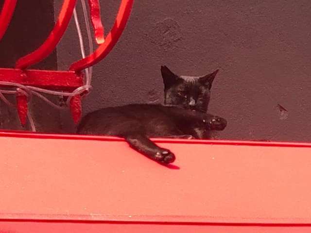 Balat dream house + Breakfast