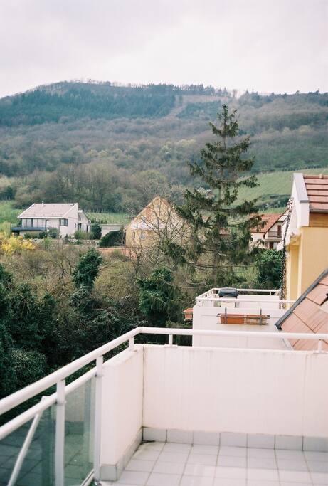 Au cœur de la nature, propice à de belles balades.