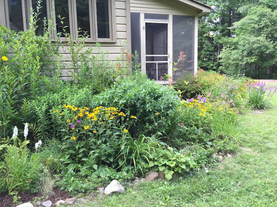 Summer perennial gardens off screened-in porch and around most of the house.