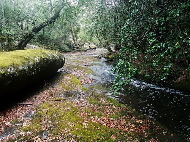 "In Essentia" Studio and Healing Hut with Massages