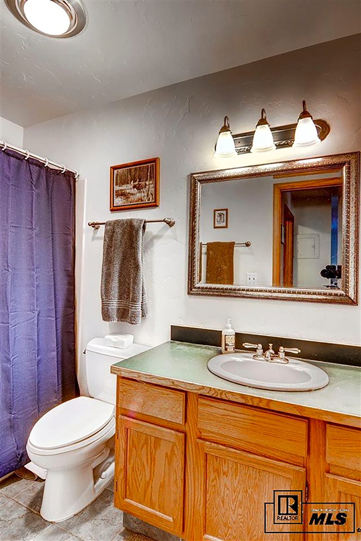 A compact bathroom is presented, featuring a light granite countertop with a circular sink and wooden cabinetry. The room includes a white toilet and a shower/tub combination, with a purple curtain providing privacy. A well-lit mirror hangs above the sink, accented by bath accessories.