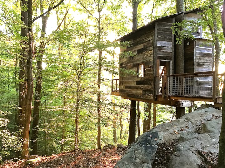 Treetop Hideaways: Luna Loft