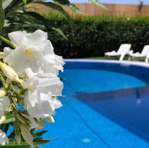 Beautiful villa with swimming pool,near the beach