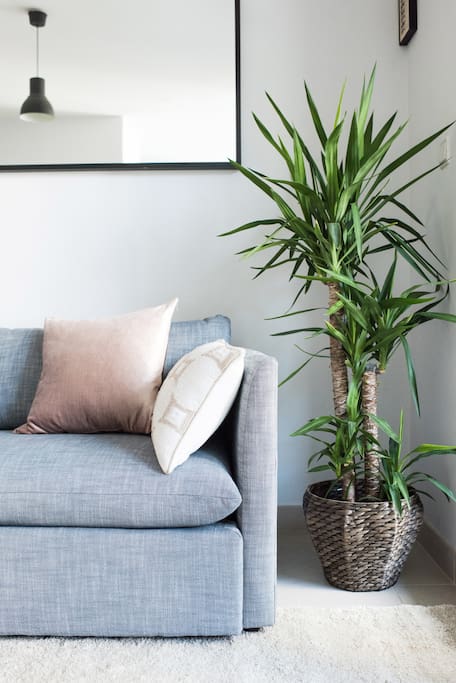 Light & modern living room