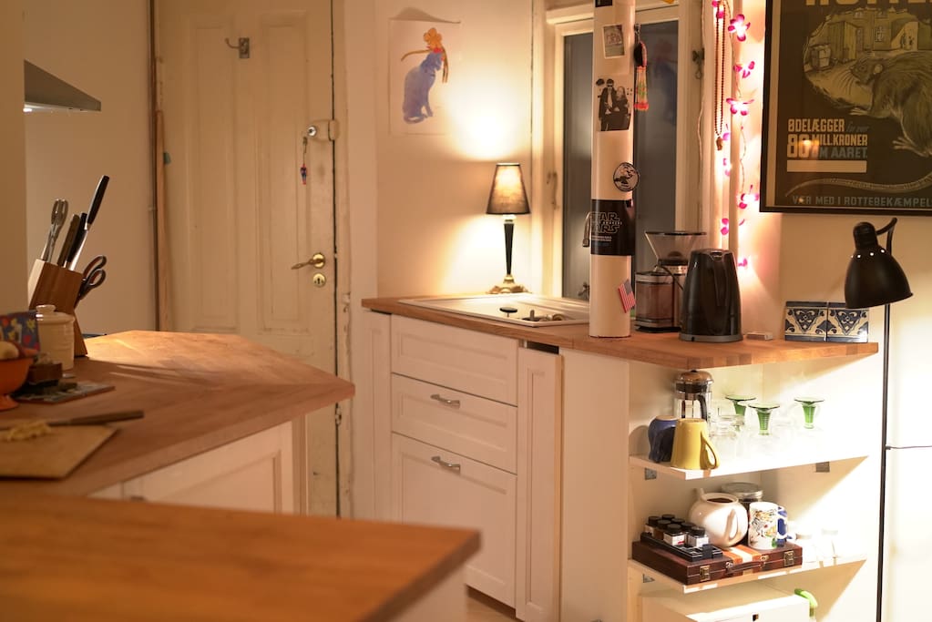 Kitchen is less than a year old, has lots of natural light in the daytime.