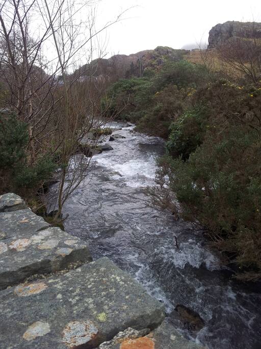 view from front garden