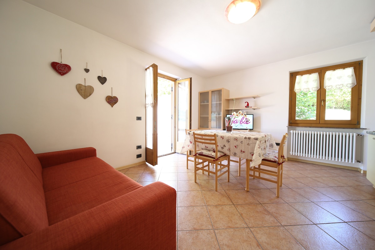 Airbnb con migliori performance: (Andalo) 1 Bedr +sofa bed + big terrace a Andalo