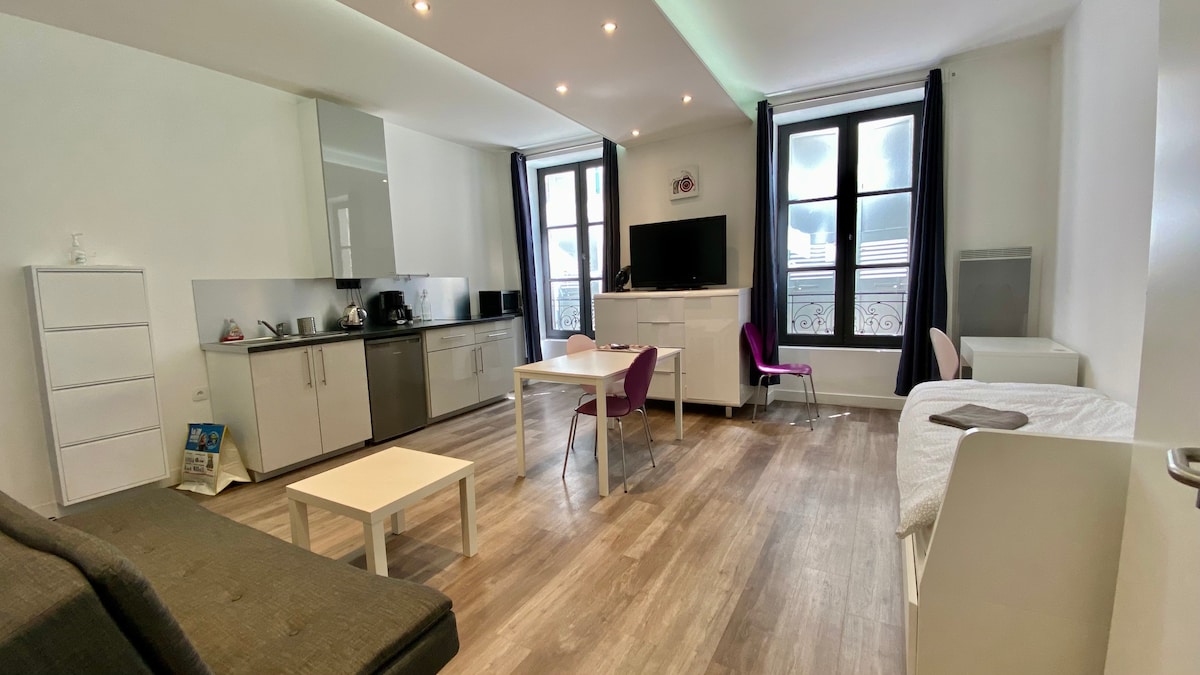 A spacious studio apartment features a fully equipped kitchenette with modern appliances, a dining area with a table and chairs, and a comfortable living space highlighted by large windows. A neutral color palette and wooden flooring create a contemporary environment.
