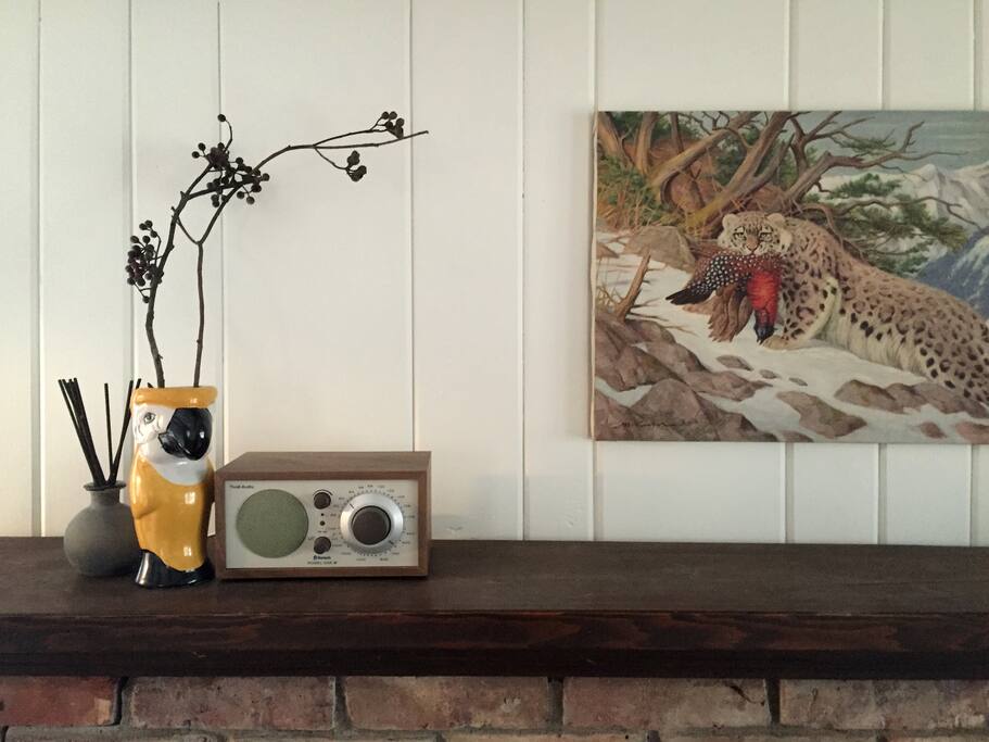 Tivoli bluetooth radio for your audio pleasure