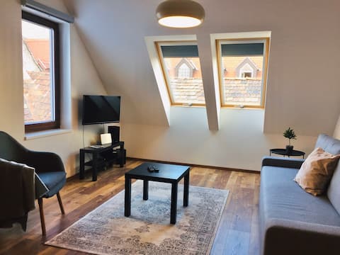 K29 - cozy apartment in the downtown of Győr