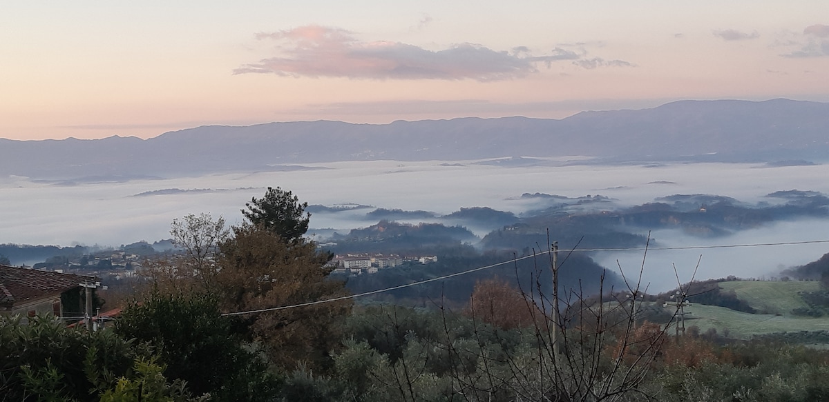A panoramic view captures a misty landscape at dawn, with rolling hills and valleys disappearing into the fog. Shades of blue and pink fill the sky as the sun begins to rise, while distant trees and structures can be faintly seen amidst the soft haze.