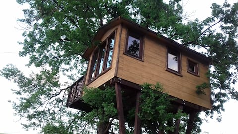 The treehouse with dinner