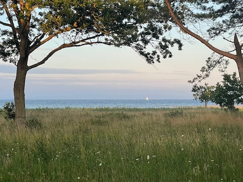 Top performing Airbnb: House on the beach in Syddjurs