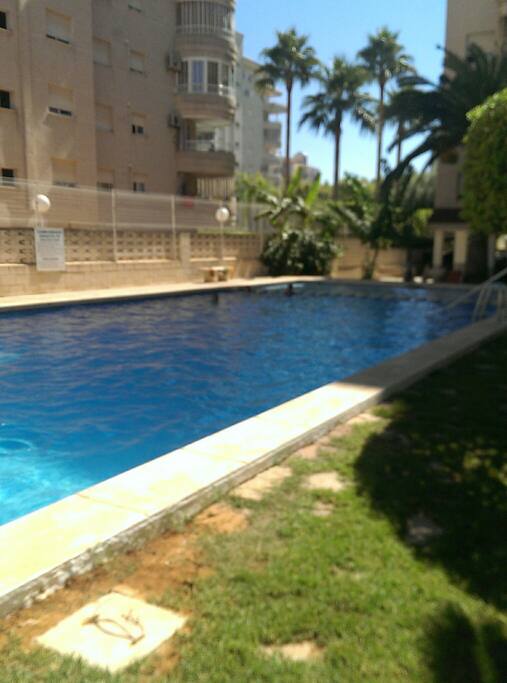 Una piscina privada para el edificio