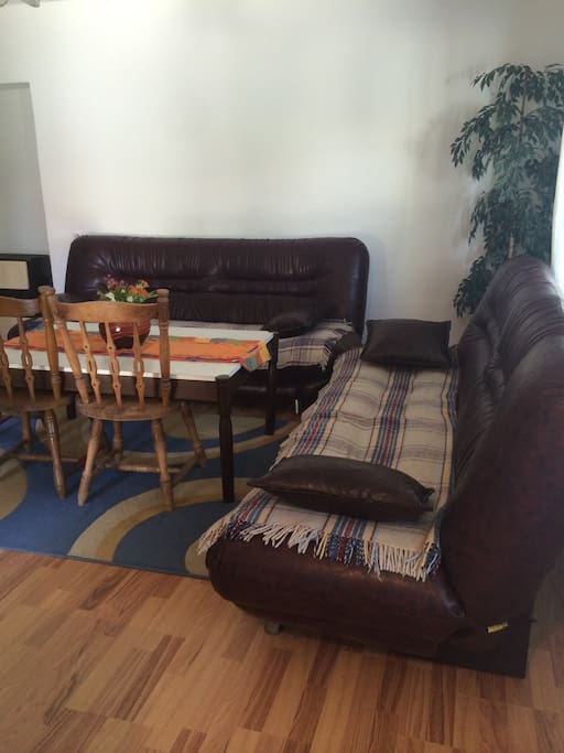 Living room, sofa beds turn into two good size beds