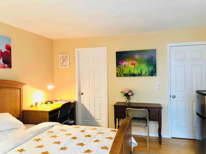 10 Best Airbnb Vacation Rentals In Bellevue, Washington Updated 2024