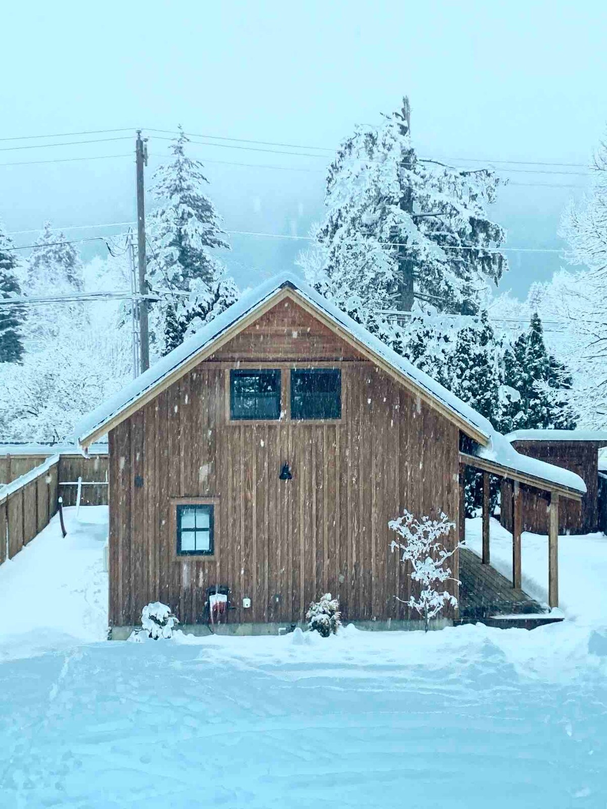 The cabin is presented amidst a snowy landscape, constructed from natural wood with a sloped roof. Surrounding evergreen trees are dusted with snow. A slight overhang offers shelter, while a small window and decorative shrub add charm to the cozy exterior.