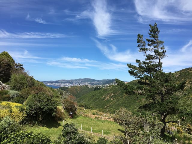 Your own private entrance and space.