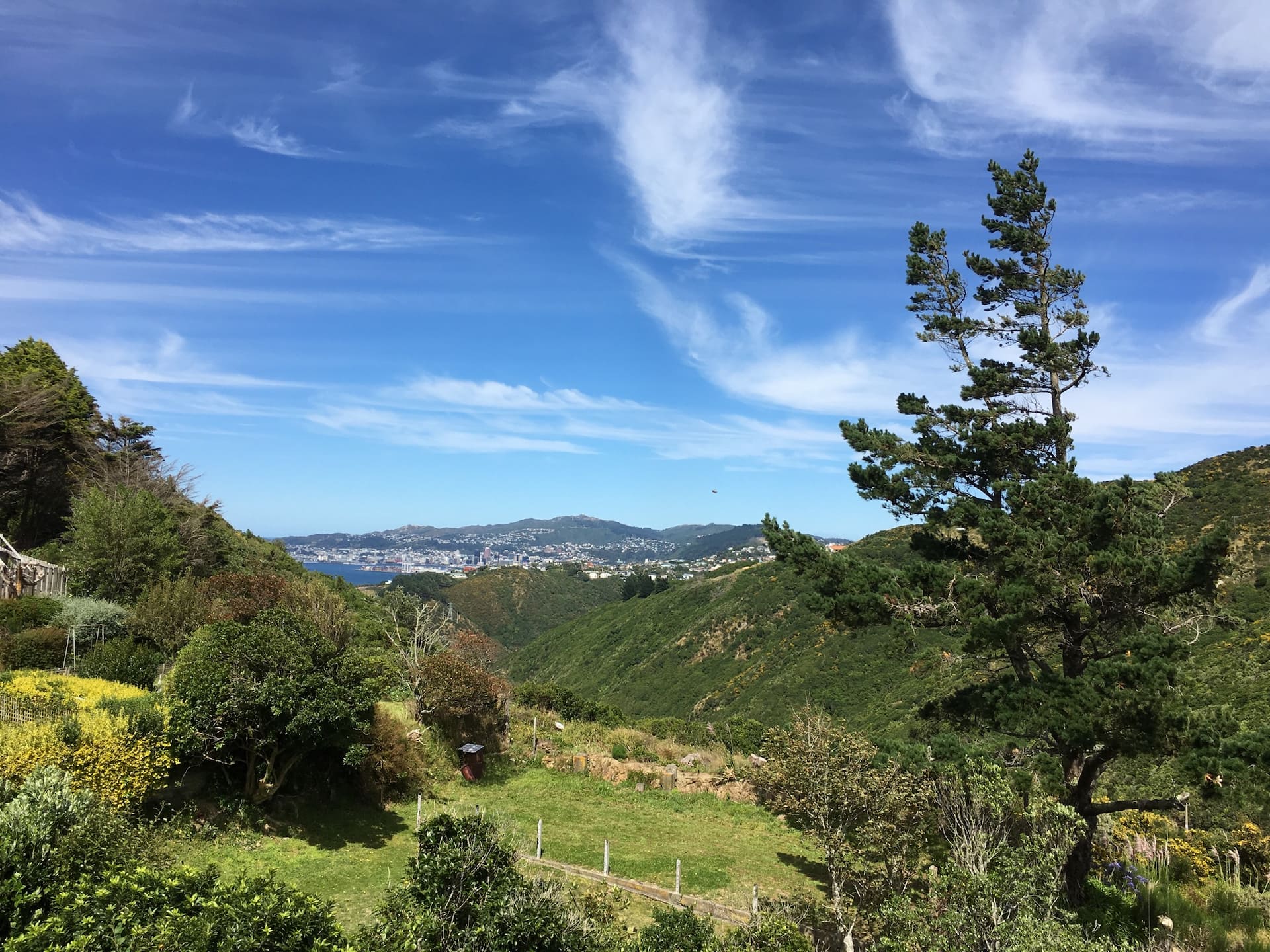 Cosy private flat with Amazing View in Newlands
