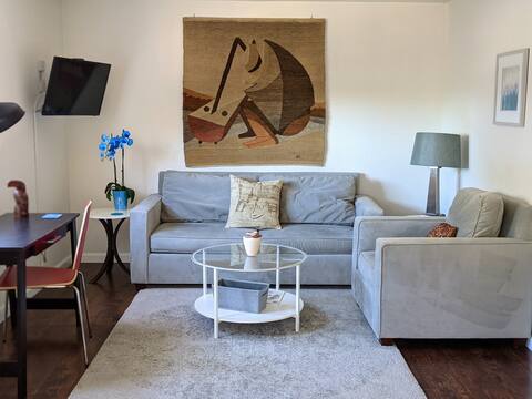 Charming modern 1-bd apartment north of Berkeley