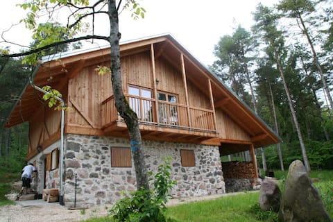 Cozy forest house next to Maso Plaz