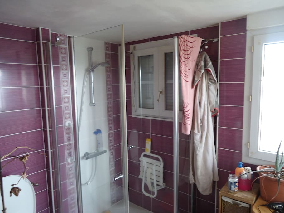 SALLE DE BAIN HANDICAPEE