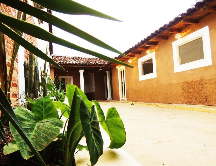 Bienvenidos en la Casa de los Cactus