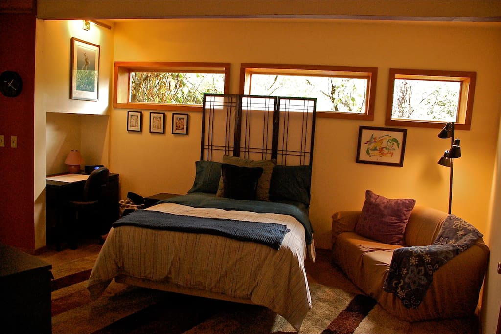 studio apt - full size bed, desk, couch