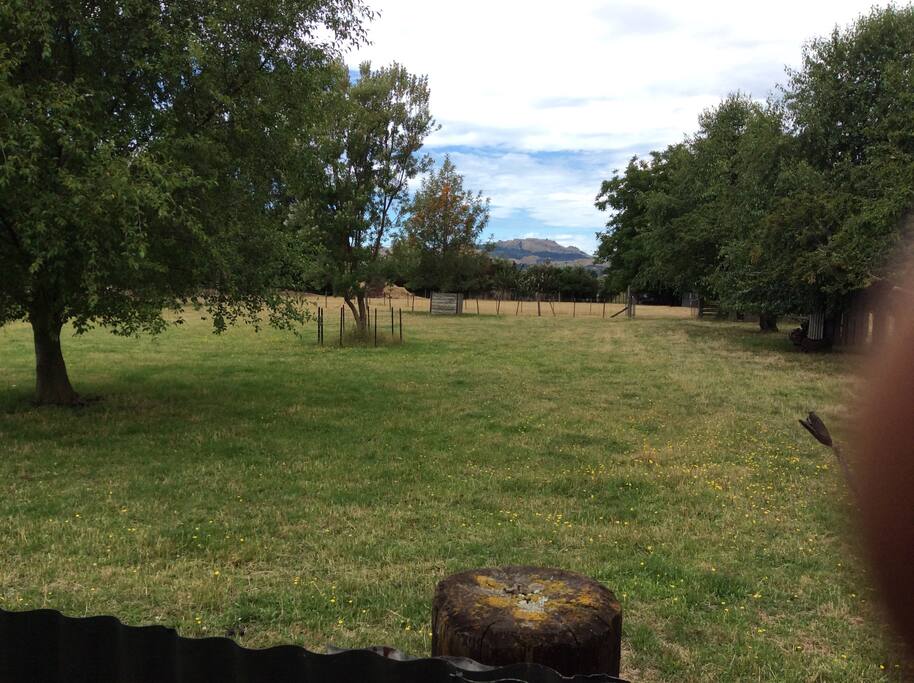 Portion of view from cottage