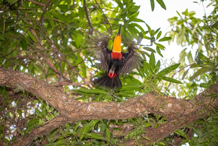 Sítio em Vargem Grande Próx. praia, cachoeira mto+ gallery image 3