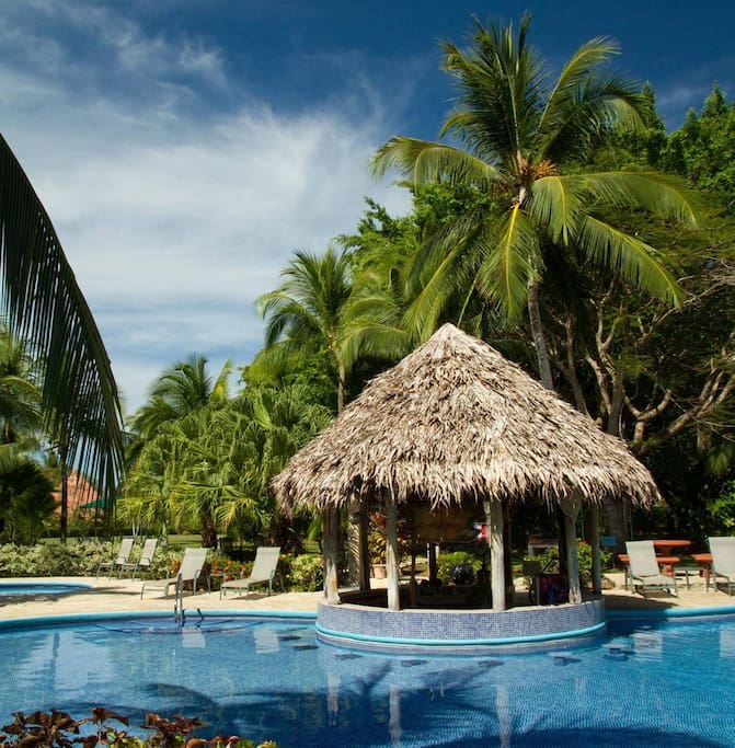 Pool and swim up bar