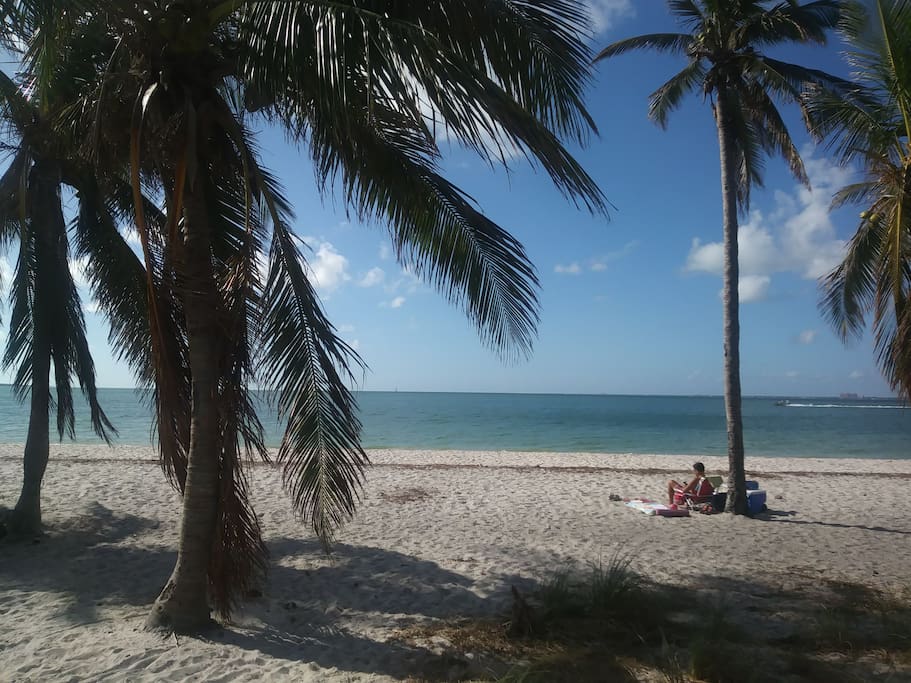 gorgeous key Biscayne relax and soak up the sun under a lazy coco palm