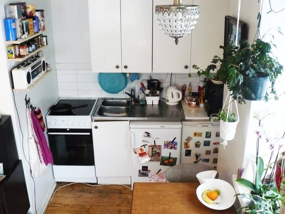 Fully equipped kitchen with coffee and tea included.