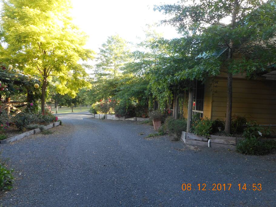Separate cottage from main house