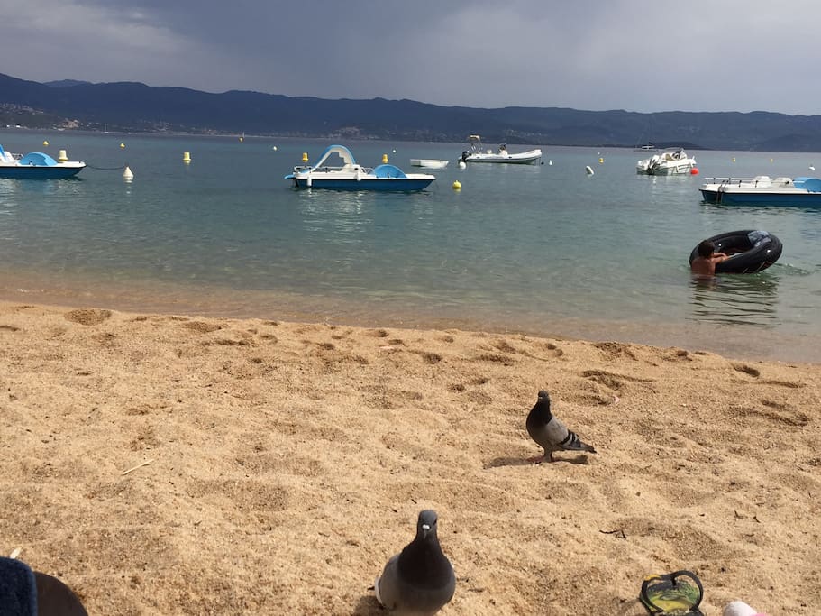La plage
