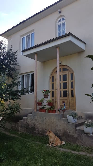 Frontal view of the house