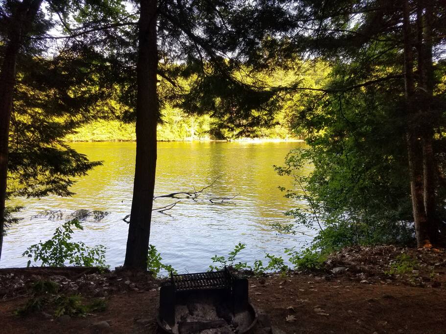 View from Porch