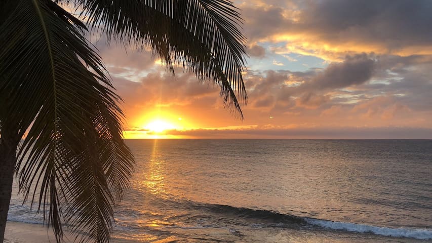 Ana's is a beach managed Airbnb listing 3