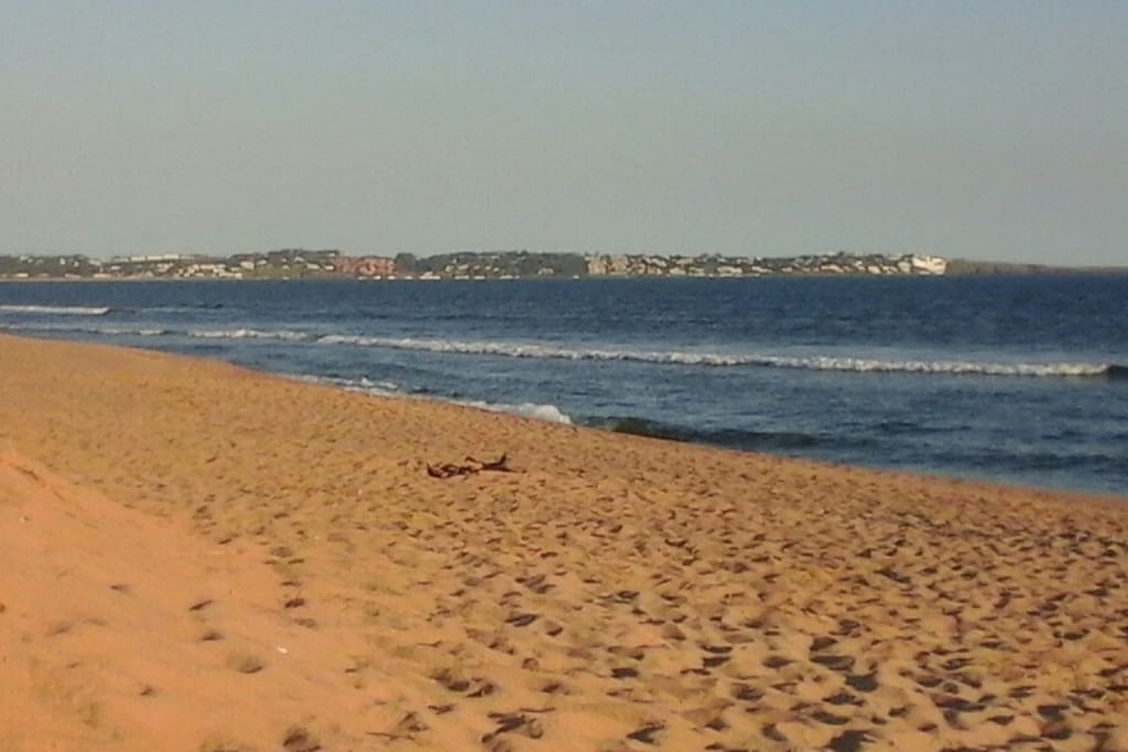 Punta Ballena