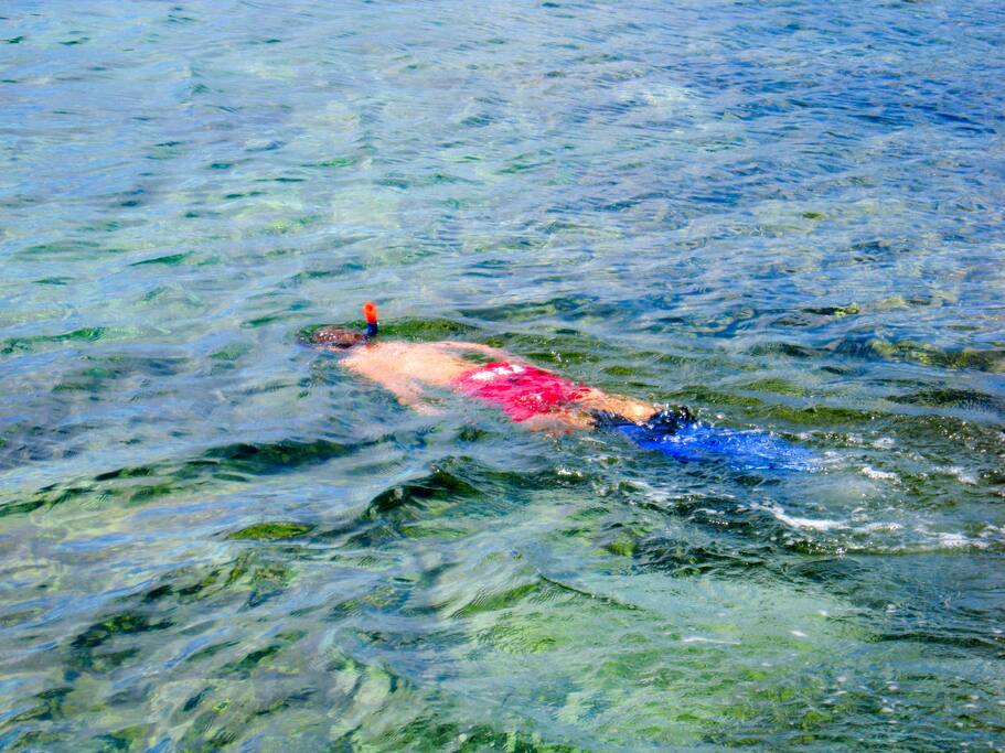 A true snorkeler's paradise is just outside your door!!